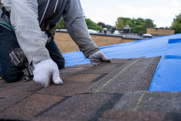 Best Shingle Roofing Installation  in Aberdeen, MD